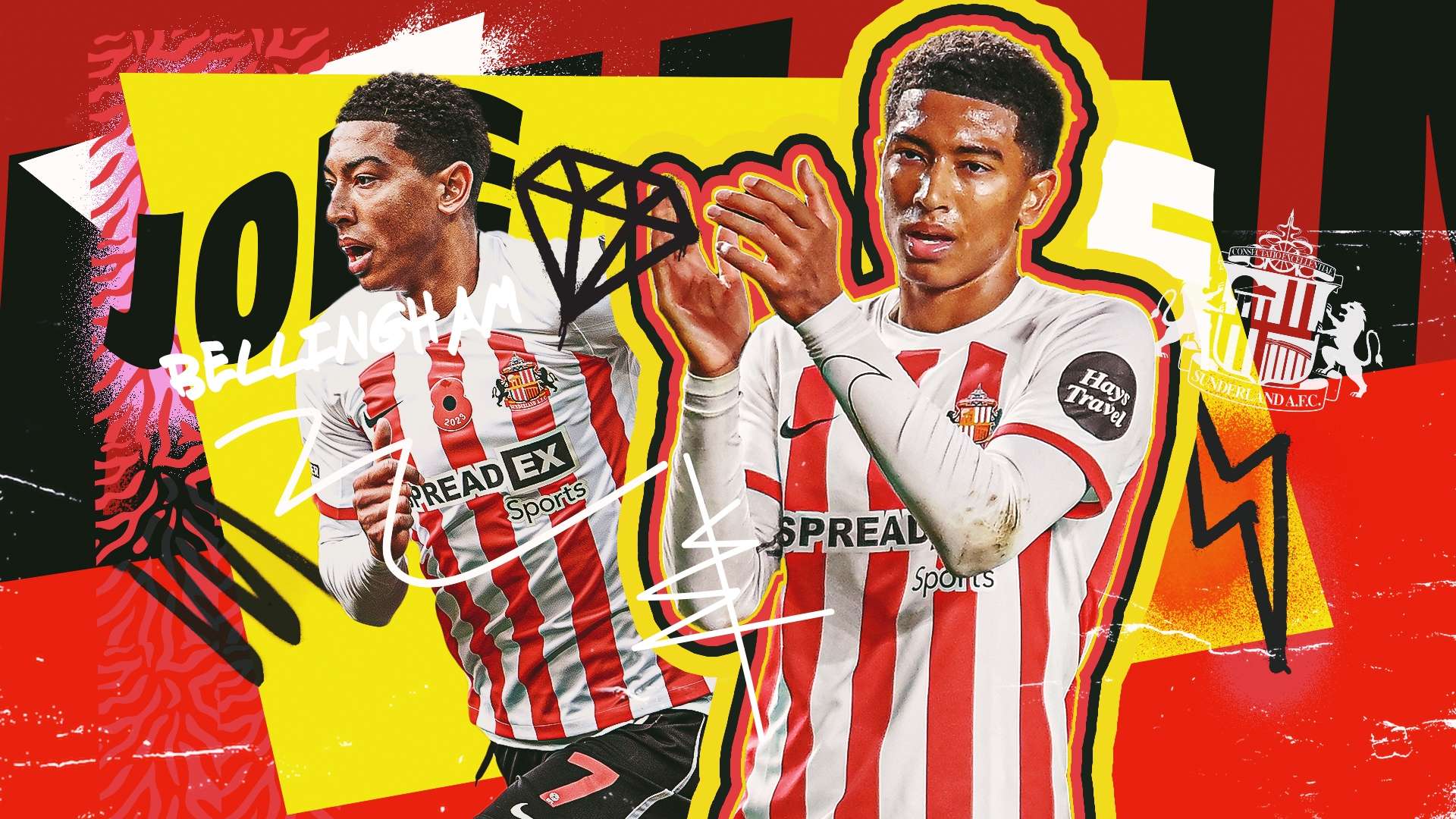 生态旅游的 生态旅游的