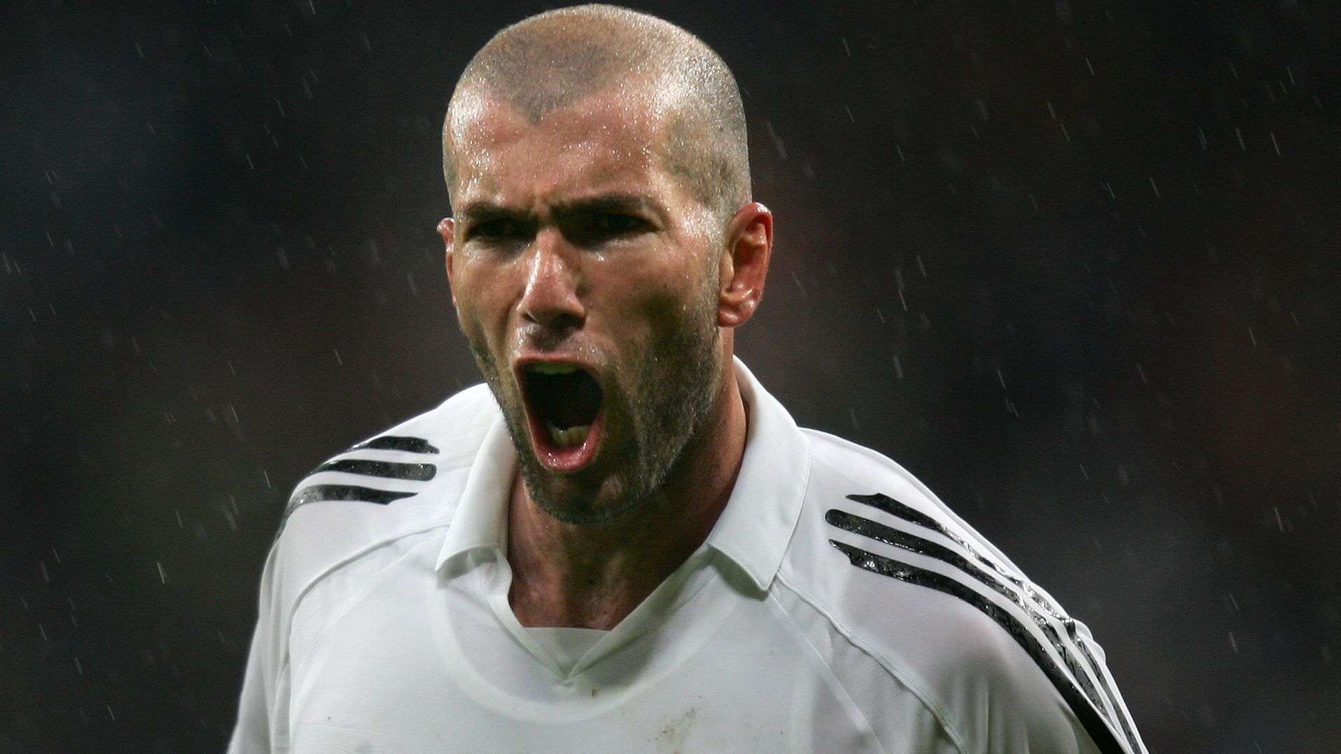 够将风险降 够将风险降